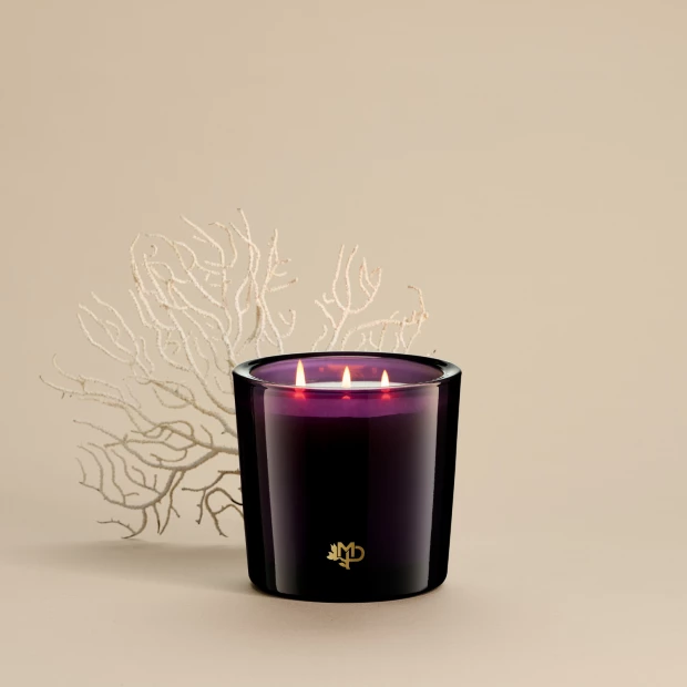 Aden Reed Natural firelighters | Maison Pechavy
